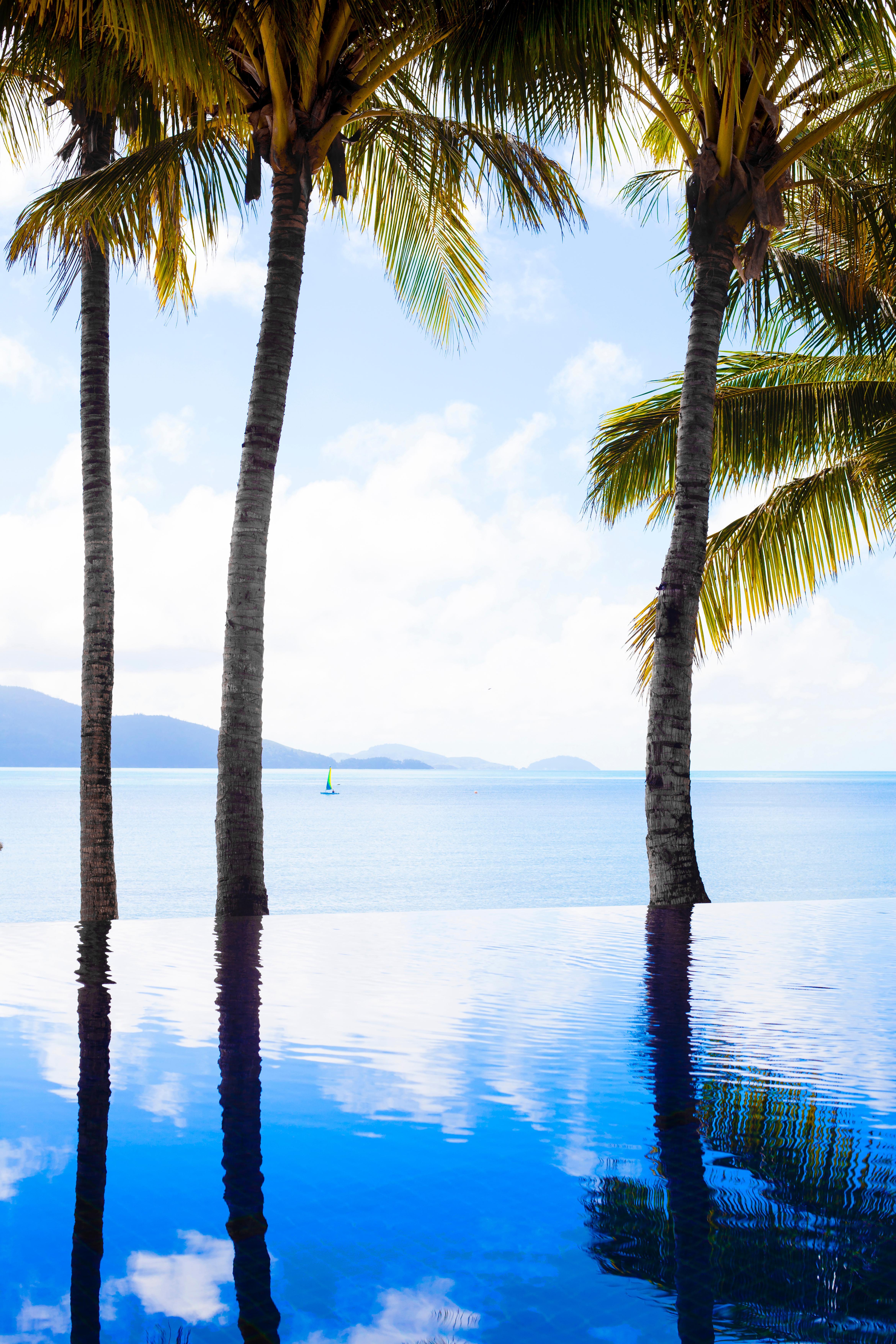 Beach Club (Adults Only) Hamilton Island Eksteriør bilde